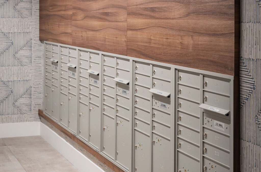 DSC05214-Enhanced-NR