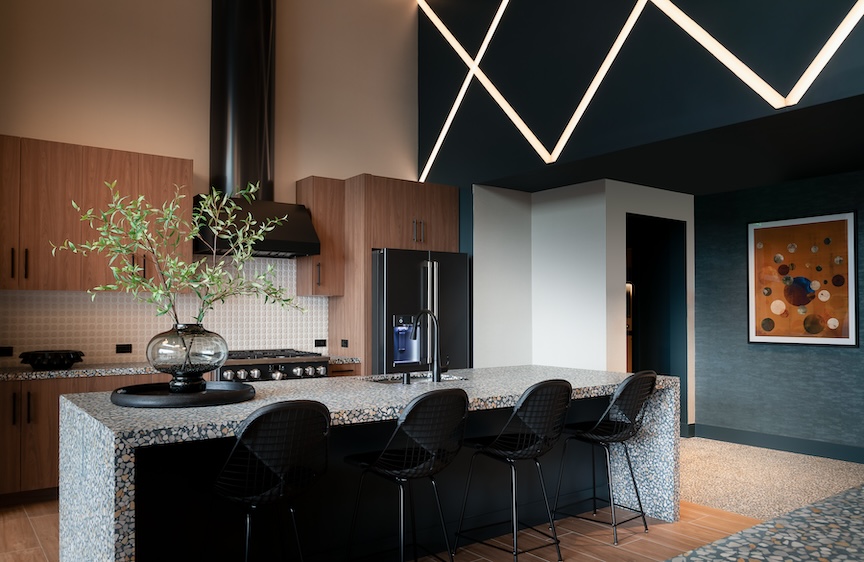 Clubroom Kitchen at Apollo Apartments. Concrete Collaborative Countertops. Interior Design by Nadia Geller